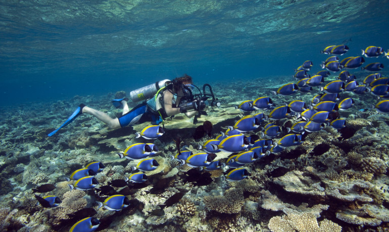 Experience exciting activities at Angsana Ihuru including Snorkeling at the resorts very own spectacular House Reef - one of the best Maldives has to offer.