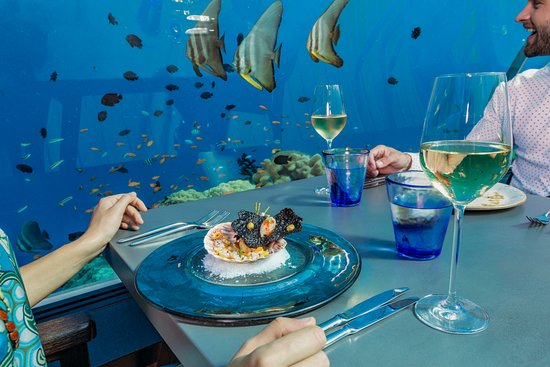 58-undersea-restaurant