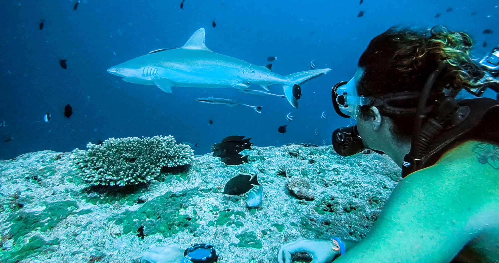 scuba-diving-the-maldives-cinnamon-ellaidhoo-1-of-1