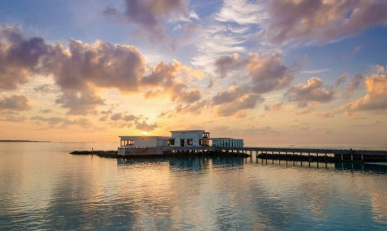 Feeling Koi and Barolo Grill at Amilla Maldives : A Delectable Luxury